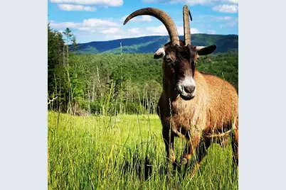 4669 Vermont Rte 100, Londonderry, VT 05148 - Photo 37