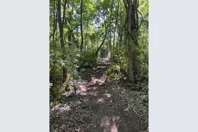 0 Hemenway Road, Bridport, VT 05753 - Photo 7