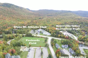 10 Sunnyside Way, Waterville Valley, NH 03215 - Photo 13