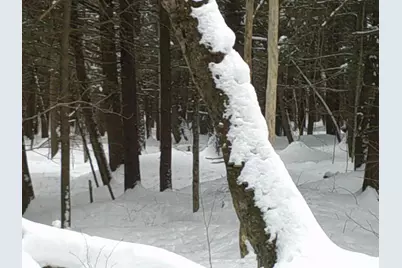 0 Plot Road #2, Johnson, VT 05656 - Photo 15