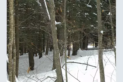 0 Plot Road #2, Johnson, VT 05656 - Photo 17