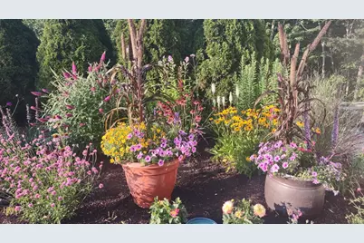 4 Evergreen Trail #1B, Jackson, NH 03846 - Photo 47