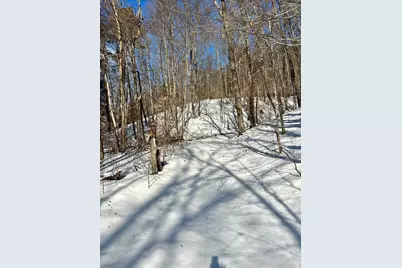 0 Ellen Ware Road, Townshend, VT 05353 - Photo 9