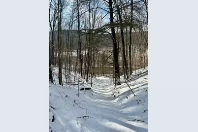 0 Ellen Ware Road, Townshend, VT 05353 - Photo 5