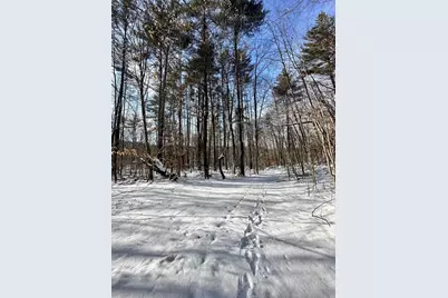 0 Ellen Ware Road, Townshend, VT 05353 - Photo 3