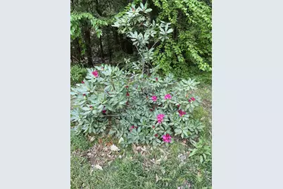 136 Lovering Avenue, Loudon, NH 03307 - Photo 49