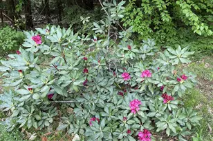 136 Lovering Ave, Loudon, NH 03307 - Photo 49