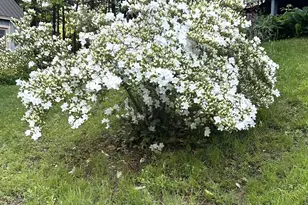 136 Lovering Ave, Loudon, NH 03307 - Photo 45