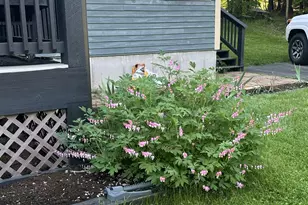 136 Lovering Ave, Loudon, NH 03307 - Photo 41