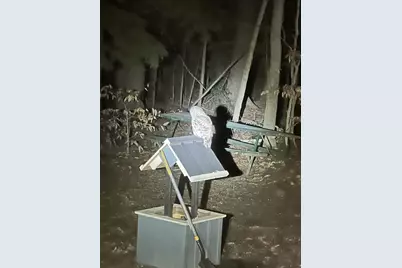 136 Lovering Avenue, Loudon, NH 03307 - Photo 47