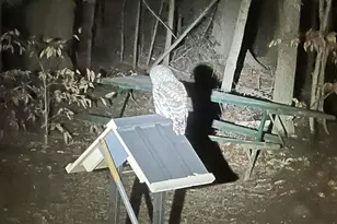 136 Lovering Ave, Loudon, NH 03307 - Photo 47