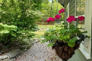 11 N Line Rd, Wolfeboro, NH 03894 - Photo 47