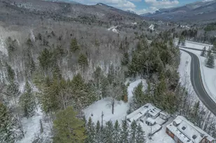 46 Goodbout Rd, Lincoln, NH 03251 - Photo 3