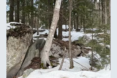 Map 6 Lot 103 Route 16 Route, Albany, NH 03818 - Photo 5