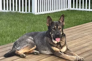 125 Kelsey Rd, Nottingham, NH 03290 - Photo 35