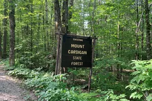 33 Bruce Rd, Canaan, NH 03741 - Photo 53