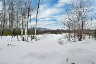 121 Swain Hill Rd, Warren, NH 03279 - Photo 41