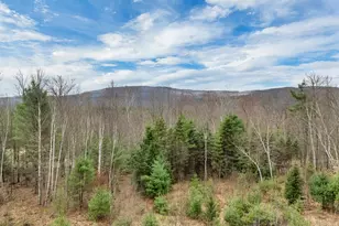 121 Swain Hill Rd, Warren, NH 03279 - Photo 49