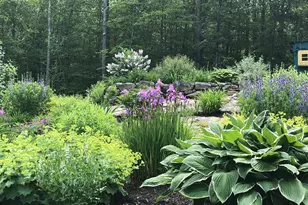 11 Birch Ledge Rd, Meredith, NH 03253 - Photo 59