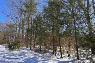 M409 L66 Old Turnpike Rd, Richmond, NH 03470 - Photo 1