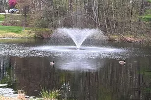 17 Walnut Cir, Merrimack, NH 03054 - Photo 39