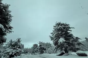 17 Walnut Cir, Merrimack, NH 03054 - Photo 41