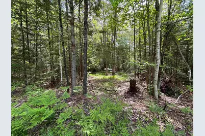 37446 North Shore/Washington Drive, Barnstead, NH 03225 - Photo 1