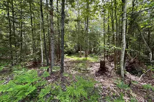 37446 North Shore/Washington Dr, Barnstead, NH 03225 - Photo 1