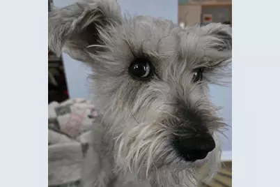 35 Collins Landing Road #32, Weare, NH 03281 - Photo 5