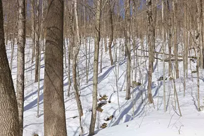 25 Ravine Lane #3, Lincoln, NH 03251 - Photo 19