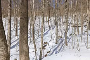 25 Ravine Ln, Lincoln, NH 03251 - Photo 19