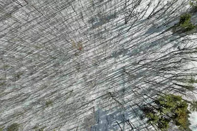 Lot 5D Phineas Graves Road, Tuftonboro, NH 03816 - Photo 17