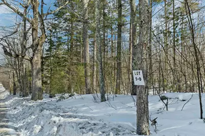 Lot 5B Phineas Graves Road, Tuftonboro, NH 03816 - Photo 11