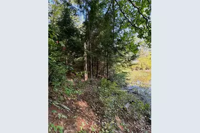 0 Beard Lane, Grafton, NH 03240 - Photo 11