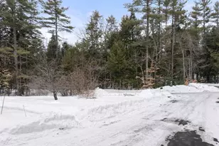 5 Piney Rd, Brookfield, NH 03872 - Photo 33