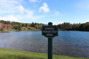 156 Deer Park Dr, Woodstock, NH 03262 - Photo 39