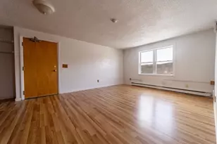 30 Beech St, Bristol, NH 03222 - Photo 9