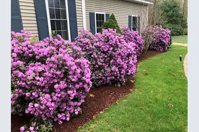 31 Bear Run Drive, Litchfield, NH 03052 - Photo 49