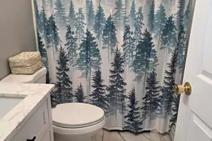 21 Leisure Dr, Ossipee, NH 03814 - Photo 27