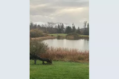 1135 Falls Bridge Road, Williamstown, VT 05679 - Photo 55