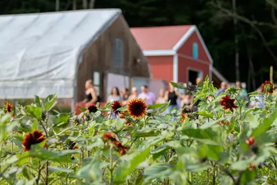 109 Morgan Road, Tinmouth, VT 05777 - Photo 45