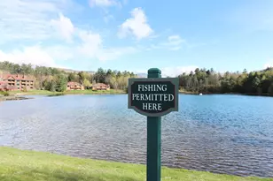 156 Deer Park Dr, Woodstock, NH 03262 - Photo 39