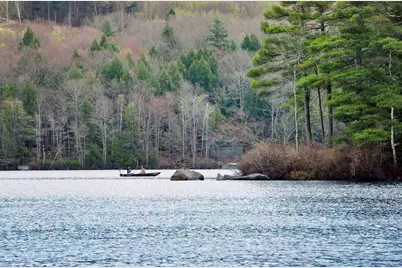 1195 Bennington Road, Francestown, NH 03043 - Photo 5