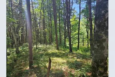 Lot 3.1 Off Parker Road, Lisbon, NH 03585 - Photo 19