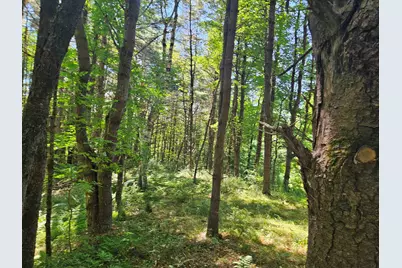 Lot 3.1 Off Parker Road, Lisbon, NH 03585 - Photo 11
