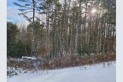 Lot 3.1 Off Parker Road, Lisbon, NH 03585 - Photo 3