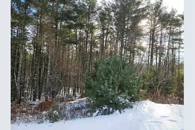 Lot 3.1 Off Parker Road, Lisbon, NH 03585 - Photo 17