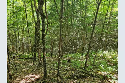 Lot 3.2 Off Parker Road, Lisbon, NH 03585 - Photo 15