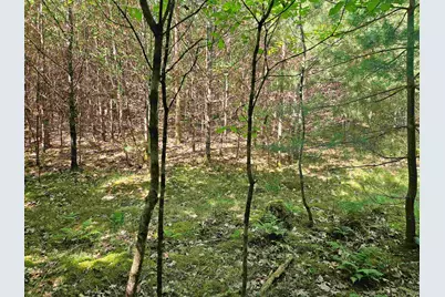 Lot 3.2 Off Parker Road, Lisbon, NH 03585 - Photo 13