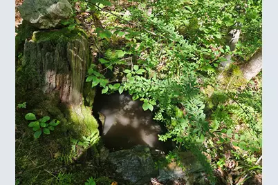 Lot 3.2 Off Parker Road, Lisbon, NH 03585 - Photo 3